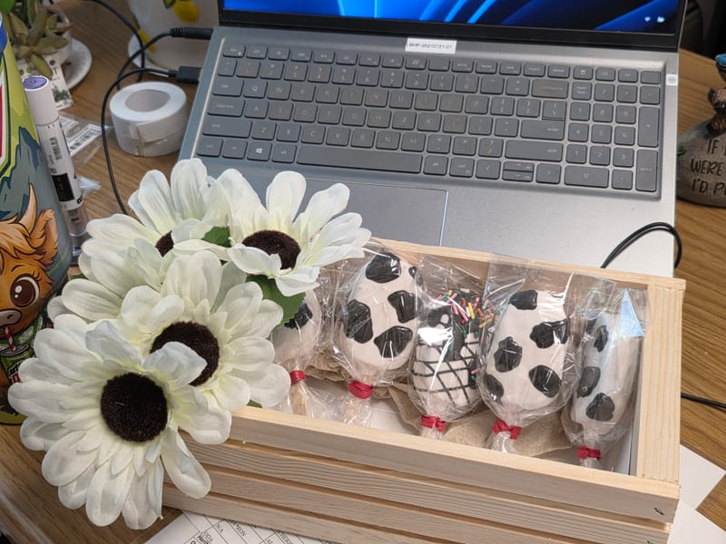 Cow print cakesicles